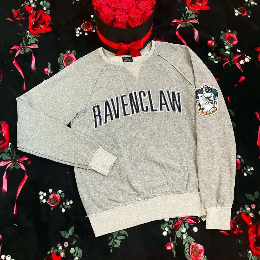 HARRY POTTER RAVENCLAW Hoodie, Rare Find, Size Small - Picture 3 of 4